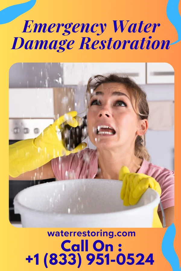 Emergency Water Damage Restoration in Thornhill, KY